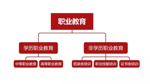 中国的职业教育一般分为学历职业教育和非学历职业教育,两者最终目的